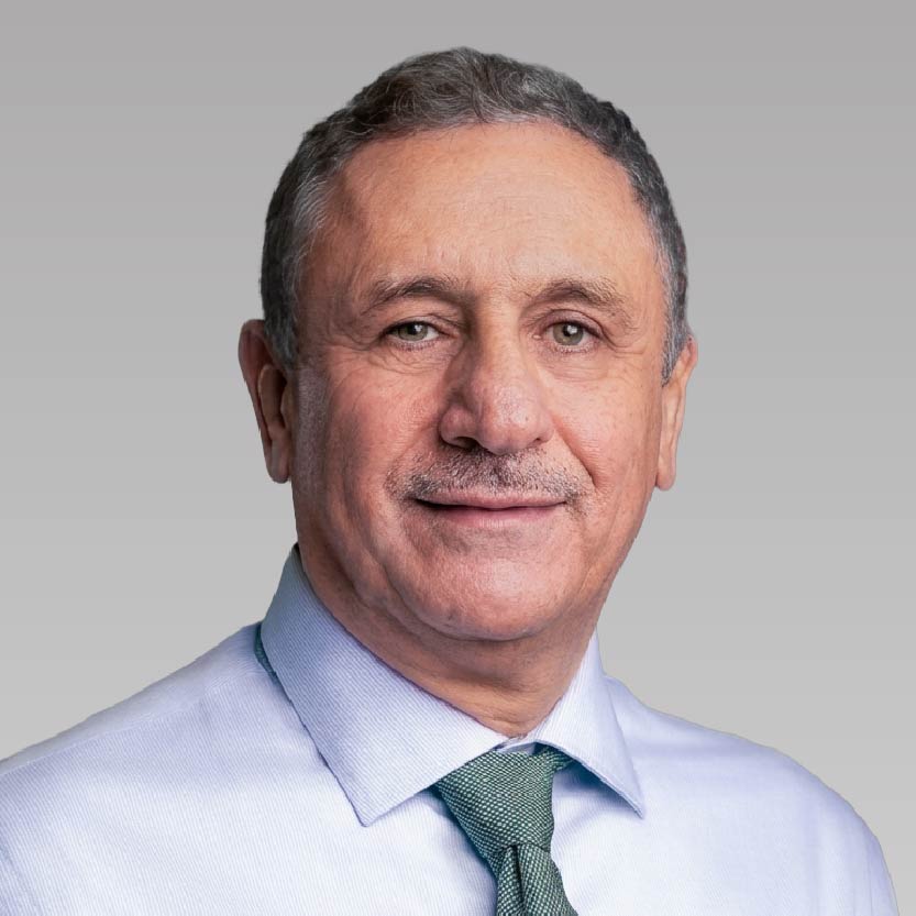 Prof. Haitham Abu-Rub